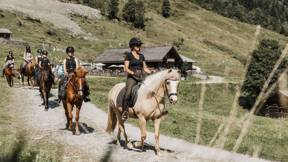 Trail ride to the mountain pasture symbolic picture