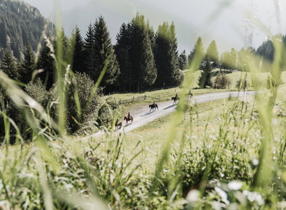 Wanderritt auf die Alm Symbolfoto