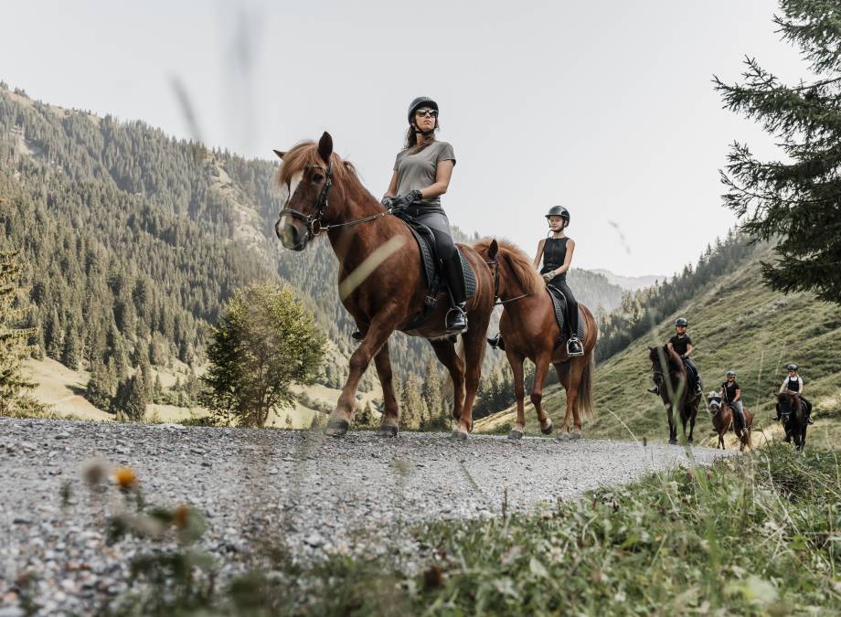 Trail ride to the mountain pasture symbolic picture