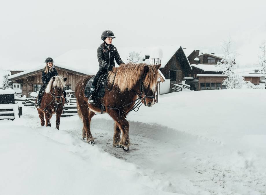 Reiten im Schnee Symbolfoto